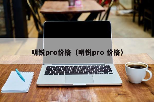 明锐pro价格（明锐pro 价格）