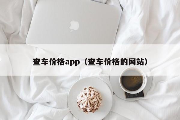 查车价格app（查车价格的网站）