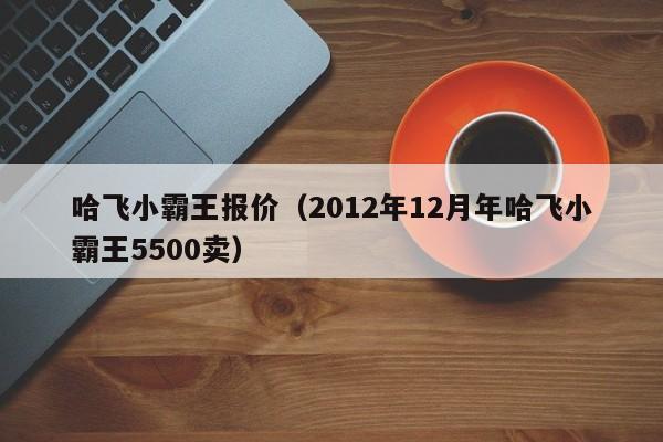 哈飞小霸王报价（2012年12月年哈飞小霸王5500卖）