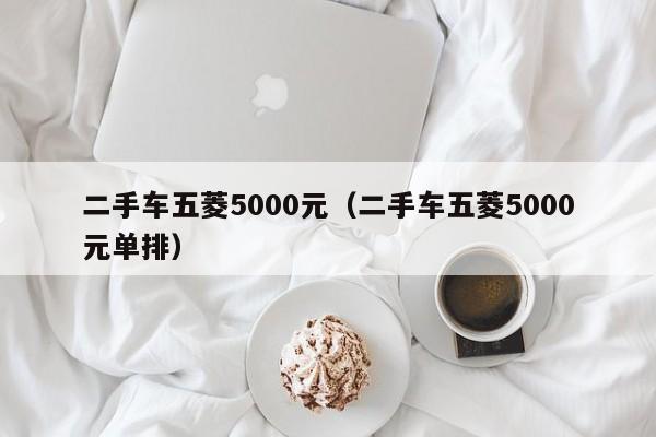 二手车五菱5000元（二手车五菱5000元单排）