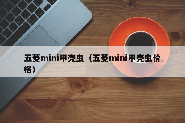 五菱mini甲壳虫（五菱mini甲壳虫价格）