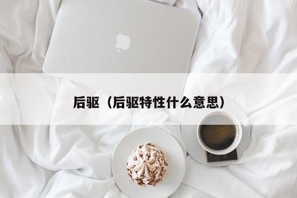 后驱（后驱特性什么意思）