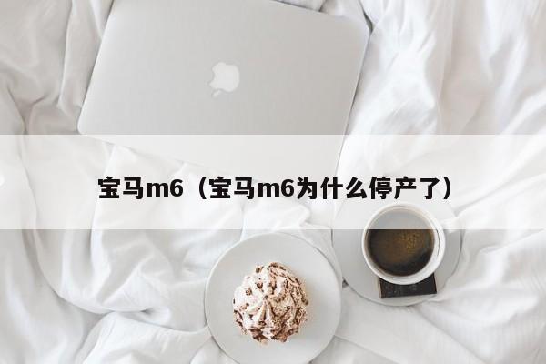 宝马m6（宝马m6为什么停产了）