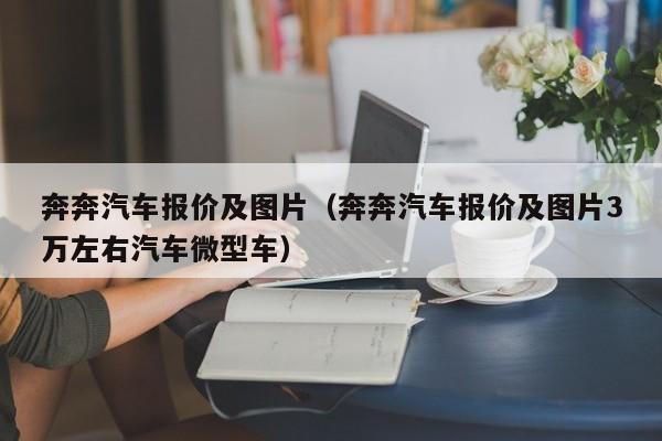 奔奔汽车报价及图片（奔奔汽车报价及图片3万左右汽车微型车）