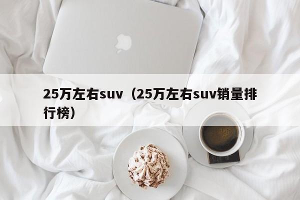 25万左右suv（25万左右suv销量排行榜）