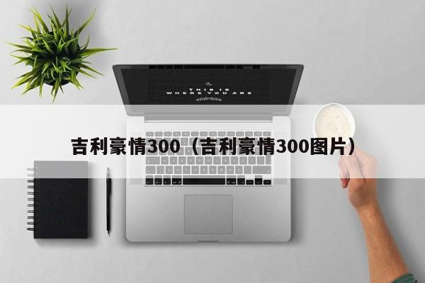 吉利豪情300（吉利豪情300图片）