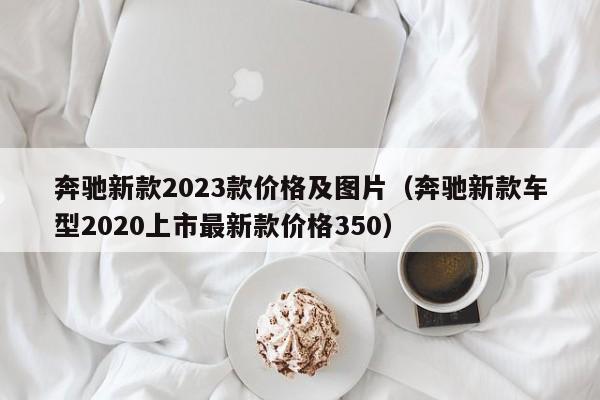 奔驰新款2023款价格及图片（奔驰新款车型2020上市最新款价格350）