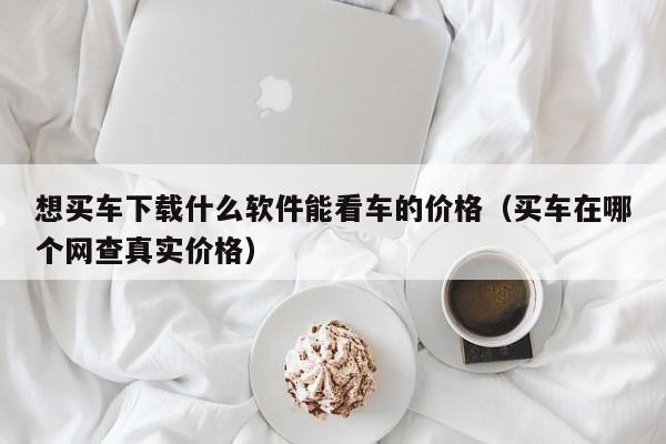 想买车下载什么软件能看车的价格（买车在哪个网查真实价格）