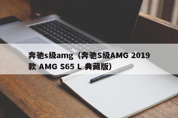 奔驰s级amg（奔驰S级AMG 2019款 AMG S65 L 典藏版）