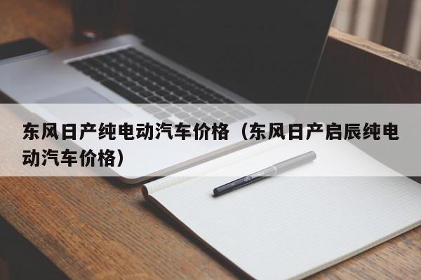 东风日产纯电动汽车价格（东风日产启辰纯电动汽车价格）