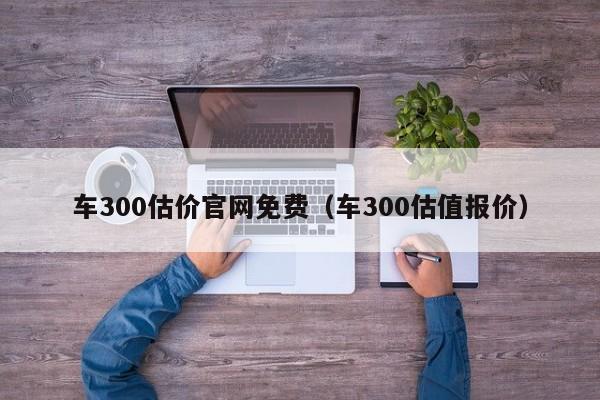 车300估价官网免费（车300估值报价）