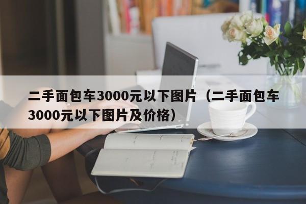 二手面包车3000元以下图片（二手面包车3000元以下图片及价格）