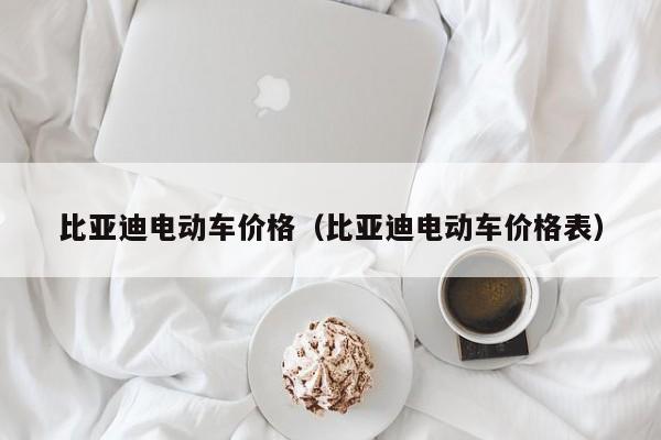 比亚迪电动车价格（比亚迪电动车价格表）