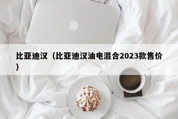 比亚迪汉（比亚迪汉油电混合2023款售价）