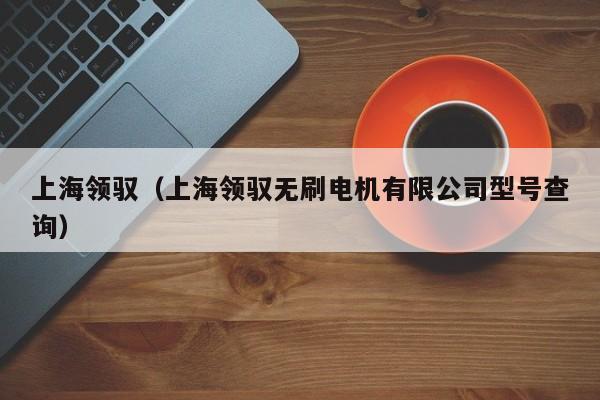 上海领驭（上海领驭无刷电机有限公司型号查询）