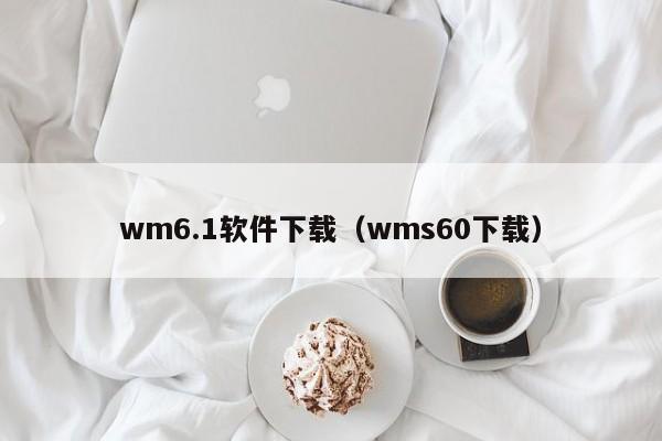 wm6.1软件下载（wms60下载）