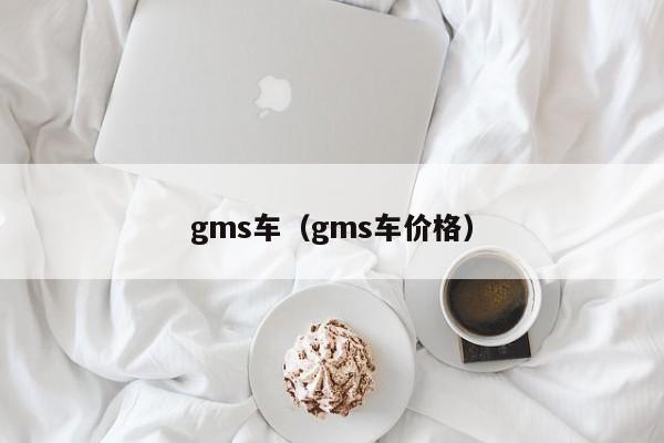 gms车（gms车价格）