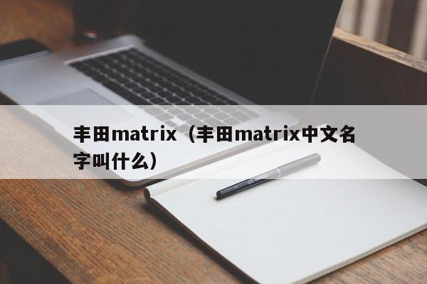 丰田matrix（丰田matrix中文名字叫什么）