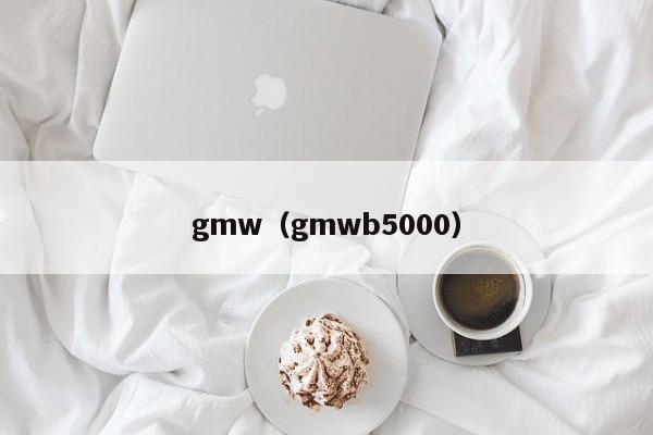 gmw（gmwb5000）