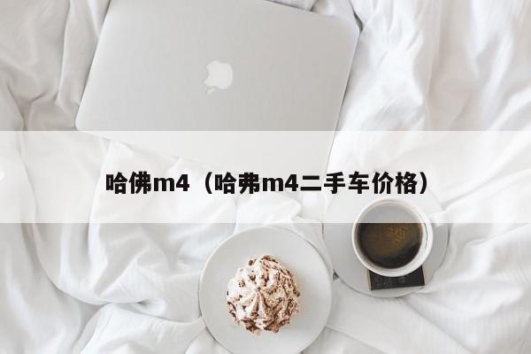 哈佛m4（哈弗m4二手车价格）