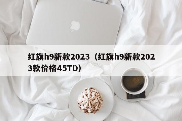 红旗h9新款2023（红旗h9新款2023款价格45TD）